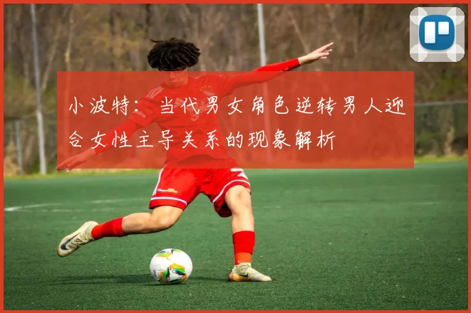 小波特：当代男女角色逆转男人迎合女性主导关系的现象解析